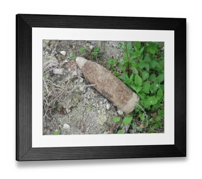 Framed Print : Iron Harvest, World War One high explosive shell, unexploded, Somme Battlefield, Somme, Picardy, France, May Framed Print : Iron Harvest, World War One high explosive shell, unexploded, Somme Battlefield, Somme, Picardy, France, May