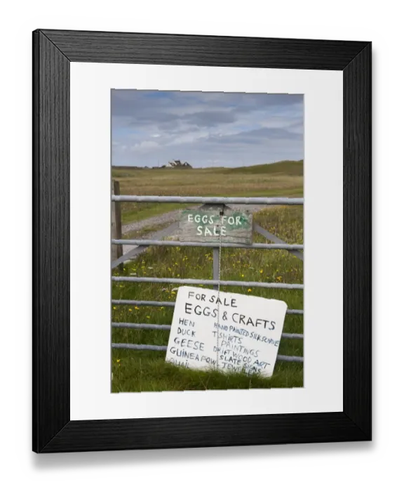 Framed Print : For Sale, Eggs and Crafts sign on farm gate, Isle of Tiree, Inner Hebrides, Scotland, August Framed Print : For Sale, Eggs and Crafts sign on farm gate, Isle of Tiree, Inner Hebrides, Scotland, August