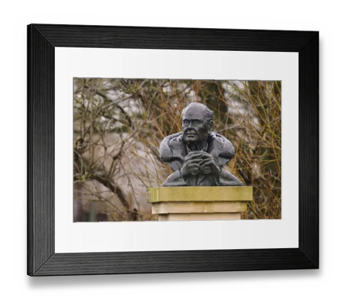 Framed Print : Bust of Sir Peter Scott wet from rain, naturalist and founder of Wildfowl and Wetlands Trust, Slimbridge Framed Print : Bust of Sir Peter Scott wet from rain, naturalist and founder of Wildfowl and Wetlands Trust, Slimbridge