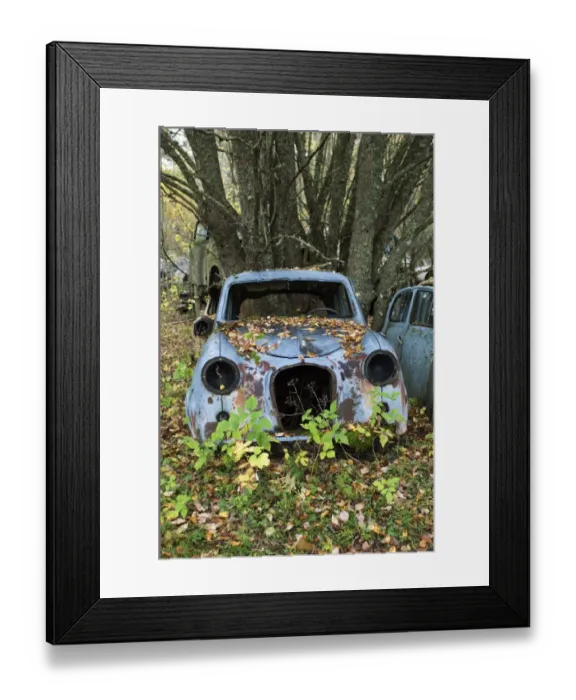 Framed Print : Scrap car in forest, Sweden