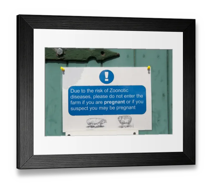 Framed Print : Due to the risk of Zoonotic diseases, please do not enter the farm if you are pregnant or if you suspect you may be Framed Print : Due to the risk of Zoonotic diseases, please do not enter the farm if you are pregnant or if you suspect you may be