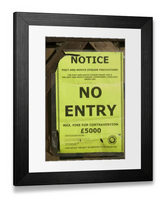 Framed Print : No Entry Foot-and-Mouth Disease Precautions notice, Moses Plat Farm, Speen, Buckinghamshire, England, February Framed Print : No Entry Foot-and-Mouth Disease Precautions notice, Moses Plat Farm, Speen, Buckinghamshire, England, February