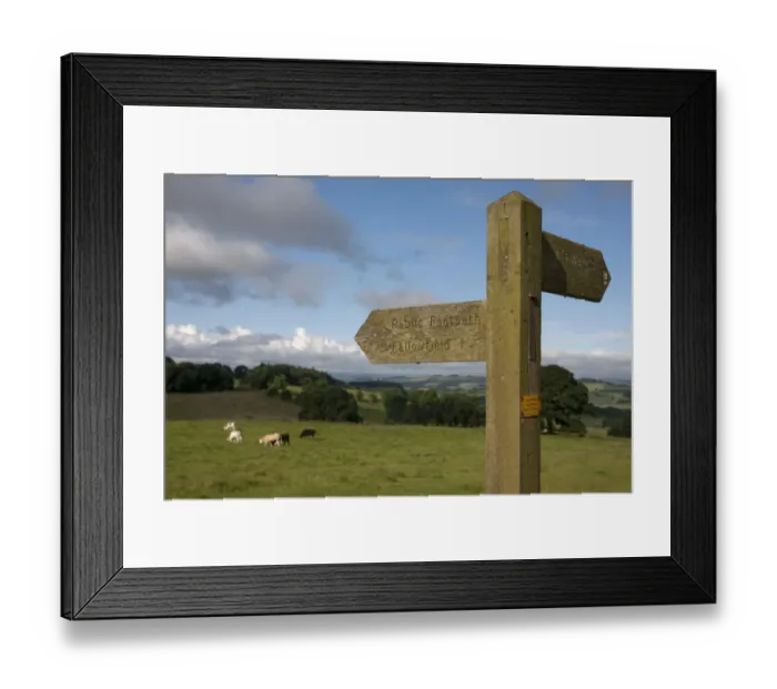 Framed Print : Public footpath sign at edge of pasture with cattle, looking towards Hexham from Planetrees, Hadrians Wall Framed Print : Public footpath sign at edge of pasture with cattle, looking towards Hexham from Planetrees, Hadrians Wall