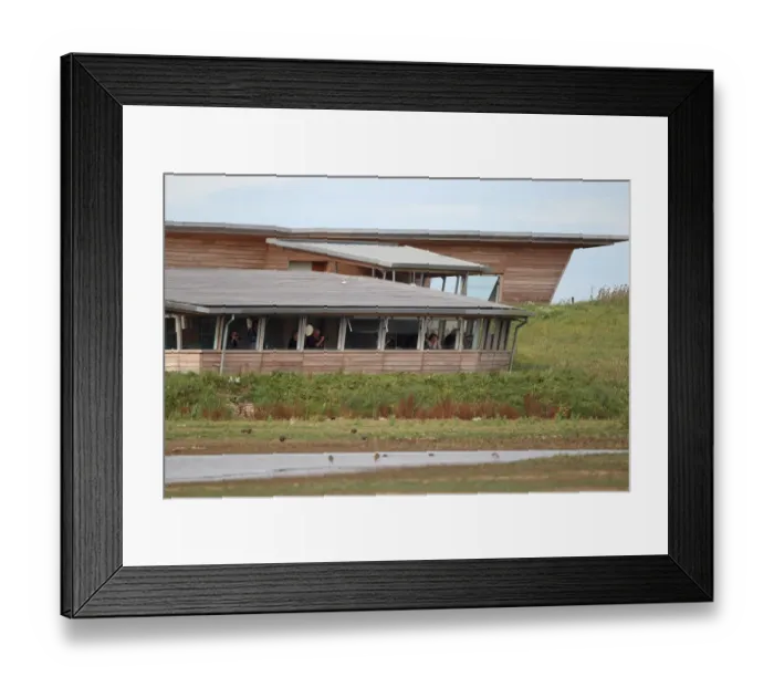 Framed Print : Birdwatchers in hide beside screen, Titchwell RSPB Reserve, Norfolk, England, September