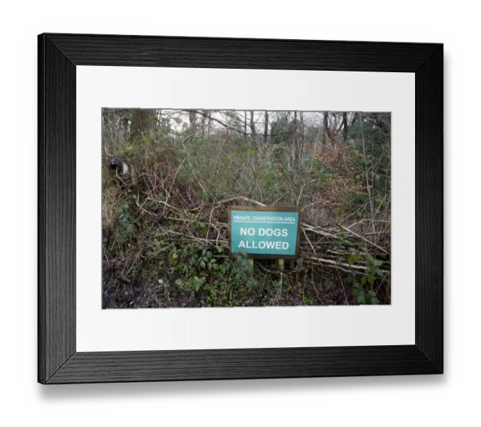 Framed Print : Private Conservation Area, No Dogs Allowed sign, Chipping, Lancashire, England, January Framed Print : Private Conservation Area, No Dogs Allowed sign, Chipping, Lancashire, England, January