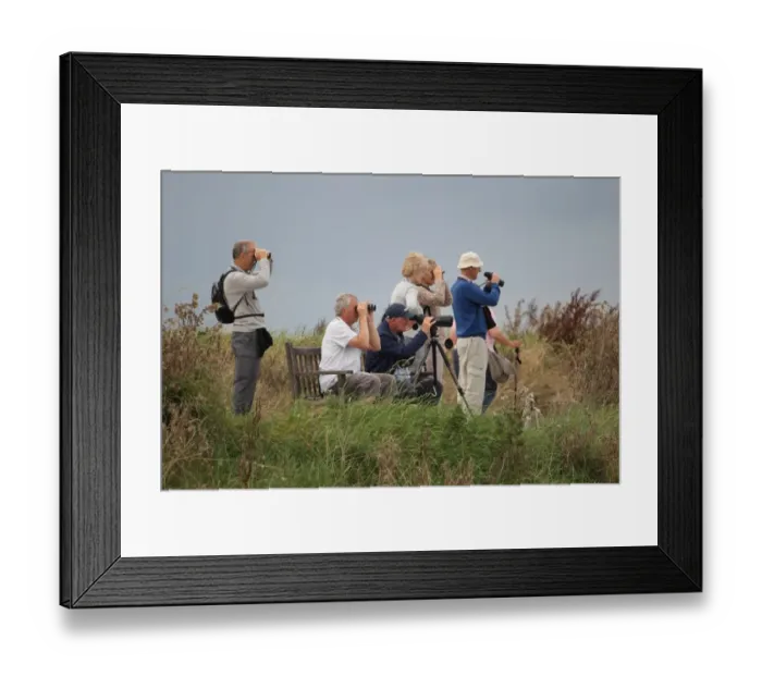 Framed Print : Elderly birdwatchers with binoculars and telescope, Titchwell RSPB Reserve, Norfolk, England, September Framed Print : Elderly birdwatchers with binoculars and telescope, Titchwell RSPB Reserve, Norfolk, England, September