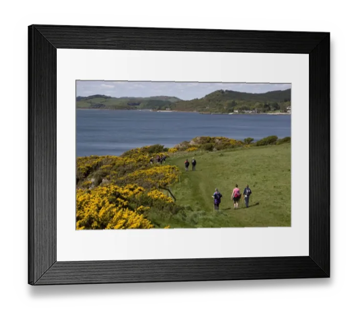 Framed Print : Hikers walking on coastal path, towards Rockcliffe and Kippford, Rough Firth, Solway Firth, Dumfries and Galloway Framed Print : Hikers walking on coastal path, towards Rockcliffe and Kippford, Rough Firth, Solway Firth, Dumfries and Galloway