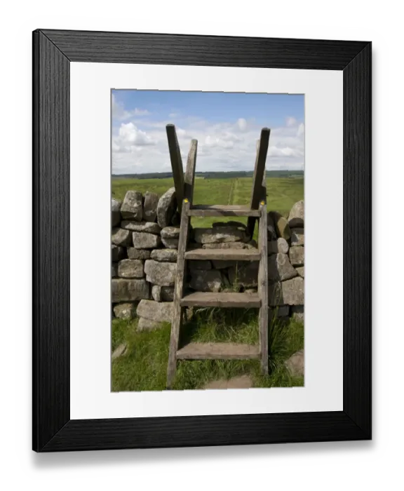 Framed Print : Ladder stile over drystone wall, between Crag Lough and Housesteads, Northumberland N. P. Northumberland, England, July