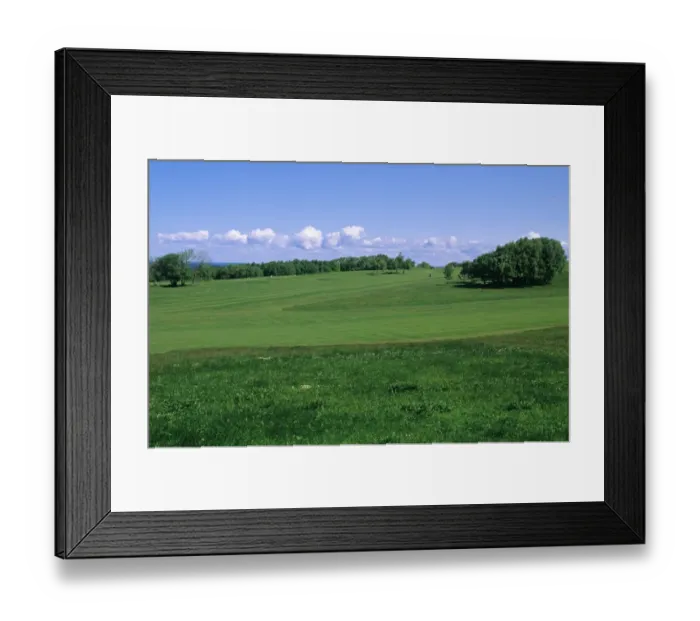 Framed Print : Golf course, view across fairway and rough, Fasterbo, Sweden Framed Print : Golf course, view across fairway and rough, Fasterbo, Sweden