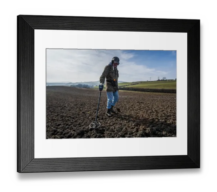 Framed Print : Man using metal detector in field, Llanfair Llanfair Talhaiarn, Conwy, North Wales, February