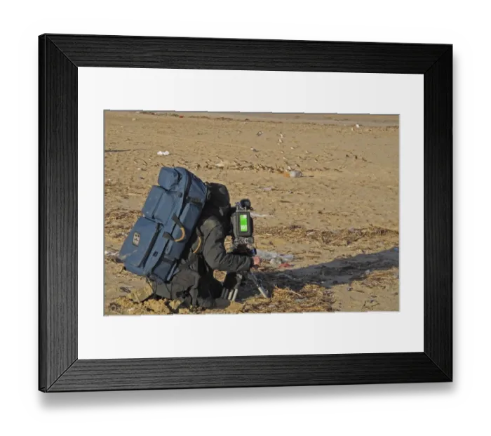 Framed Print : RSPB cameraman filming Snow Bunting (Plectrophenax nivalis) flock at beach feeding station, Eccles-on-sea, Norfolk Framed Print : RSPB cameraman filming Snow Bunting (Plectrophenax nivalis) flock at beach feeding station, Eccles-on-sea, Norfolk