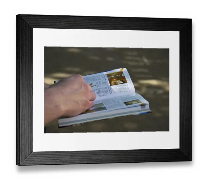 Framed Print : Tourist with Swedish language travel guidebook, London, England, april Framed Print : Tourist with Swedish language travel guidebook, London, England, april