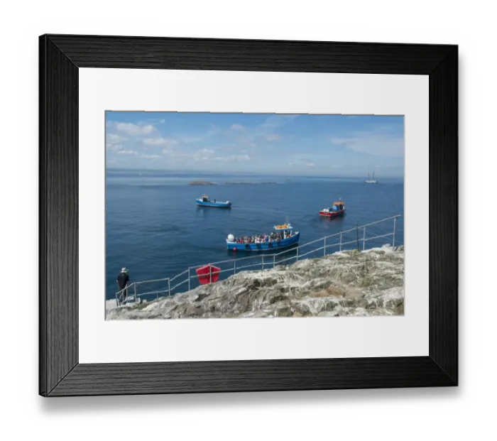 Framed Print : Tourists on boats arriving at island, Staple Island, Outer Farnes, Farne Islands, Northumberland, England, July Framed Print : Tourists on boats arriving at island, Staple Island, Outer Farnes, Farne Islands, Northumberland, England, July