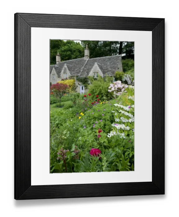 Framed Print : Cottage gardens, Bibury, Cotswolds, Gloucestershire, England, June Framed Print : Cottage gardens, Bibury, Cotswolds, Gloucestershire, England, June