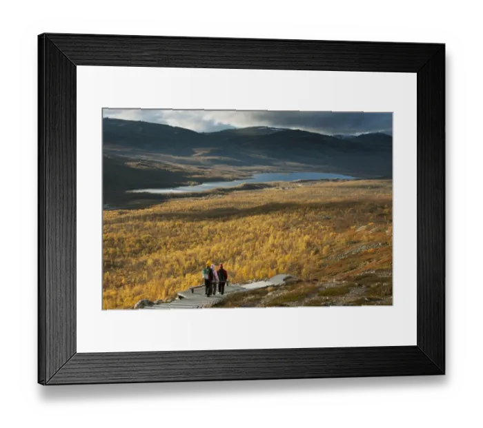 Framed Print : Walkers on boardwalk leading to summit of fell, Malla Strict Nature Reserve and Lake Kilpisjarvi in background Framed Print : Walkers on boardwalk leading to summit of fell, Malla Strict Nature Reserve and Lake Kilpisjarvi in background
