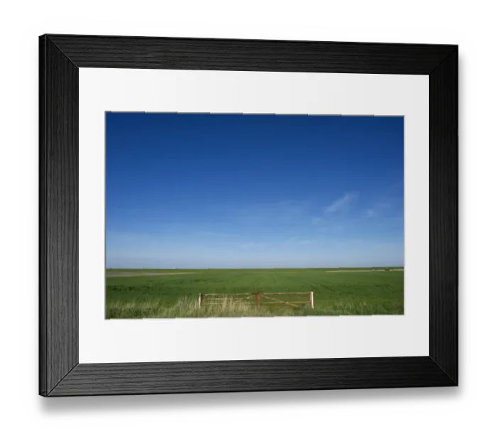 Framed Print : View of metal gate and coastal farmland, Jutland (Jylland), Denmark, may Framed Print : View of metal gate and coastal farmland, Jutland (Jylland), Denmark, may