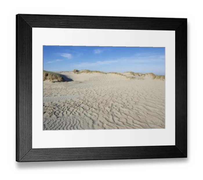 Framed Print : View of coastal sand dunes habitat, Romo, Wadden Sea Islands, Denmark, may Framed Print : View of coastal sand dunes habitat, Romo, Wadden Sea Islands, Denmark, may