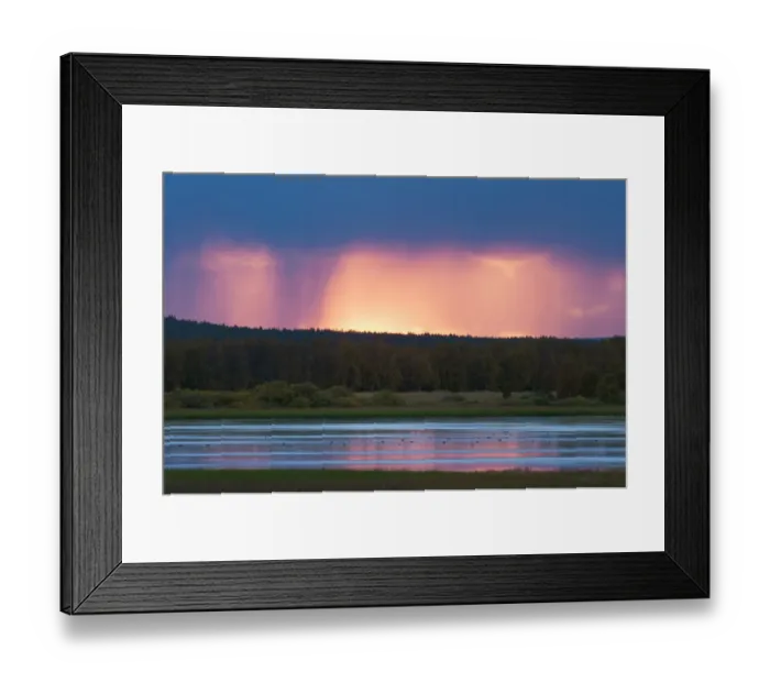 Framed Print : View of rainclouds over forest and lake habitat at sunset, Muonio, Lapland, Finland, September Framed Print : View of rainclouds over forest and lake habitat at sunset, Muonio, Lapland, Finland, September