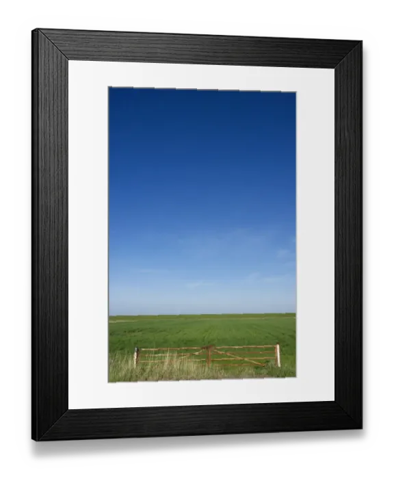Framed Print : View of metal gate and coastal farmland, Jutland (Jylland), Denmark, may