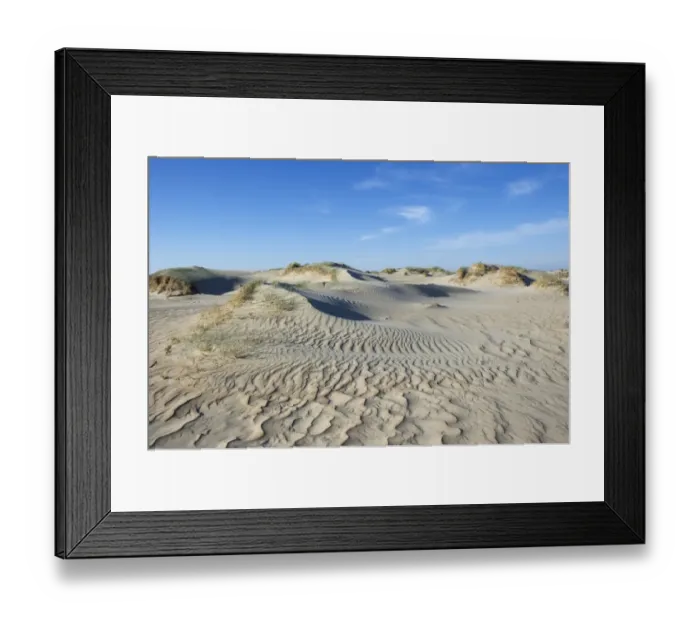 Framed Print : View of coastal sand dunes habitat, Romo, Wadden Sea Islands, Denmark, may Framed Print : View of coastal sand dunes habitat, Romo, Wadden Sea Islands, Denmark, may