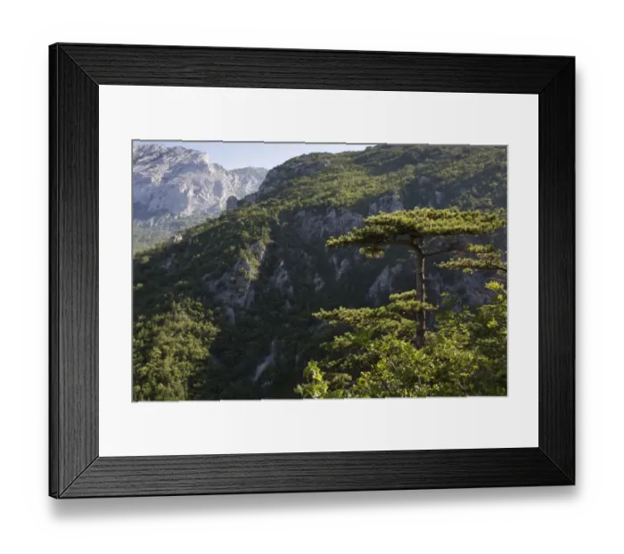 Framed Print : View of karst canyon and coniferous forest, Paklenica N. P. Dalmatia, Croatia, July Framed Print : View of karst canyon and coniferous forest, Paklenica N. P. Dalmatia, Croatia, July