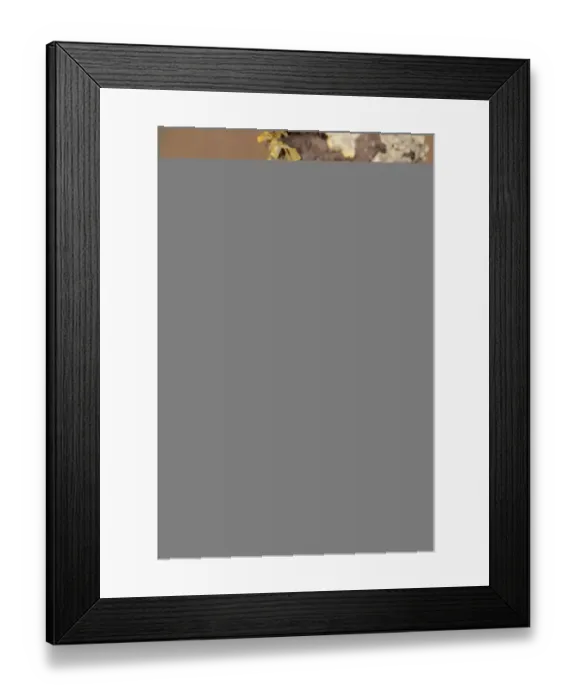 Framed Print : Buff-tip (Phalera bucephala) adult, resting on twig, Oxfordshire, England, July Framed Print : Buff-tip (Phalera bucephala) adult, resting on twig, Oxfordshire, England, July