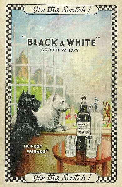 Advert, Black & White Scotch Whisky