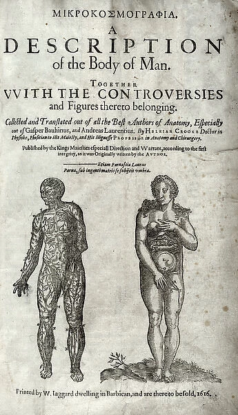 Two anatomical figures, one male and the other female