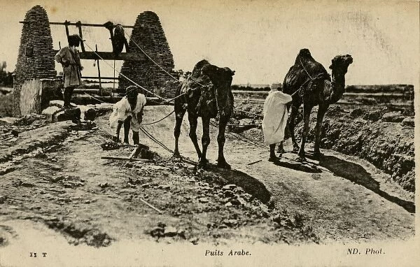 Arab well with men and camels