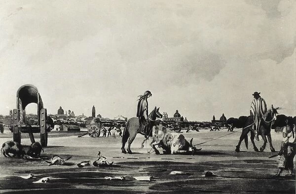 Argentina (19th c. ). Ranchers bringing an animal