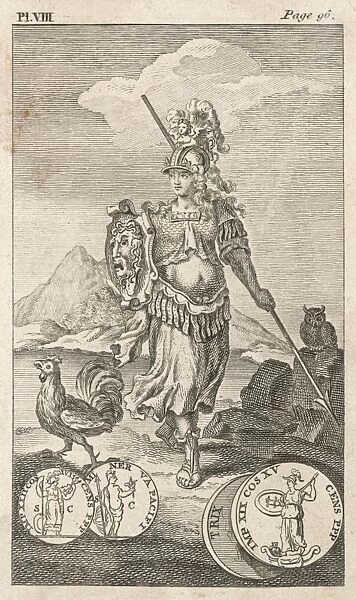 Athena  /  Minerva (Tooke)