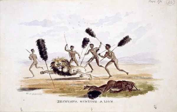 Bechuana Hunting a Lion (Plate 35  /  36)