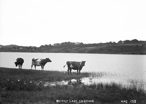 Bengy Lake, Co. Down