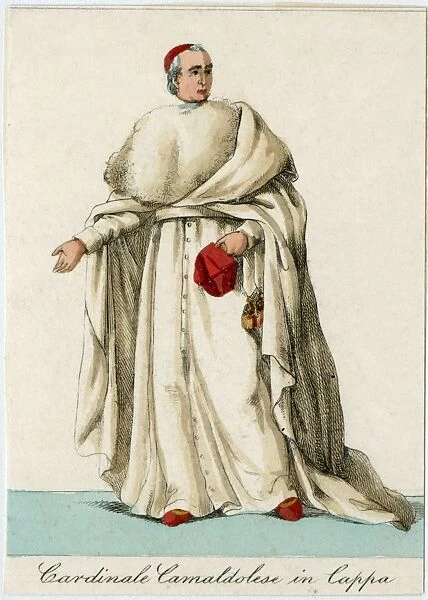 Camaldolese Cardinal