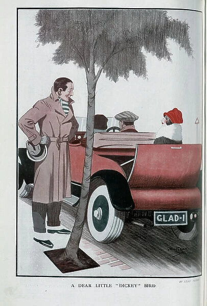 Caricature illustration, A Dear Little 'Dickey Bird', by Stan Terry. Showing confident man under a tree, staring at woman passenger in motor car