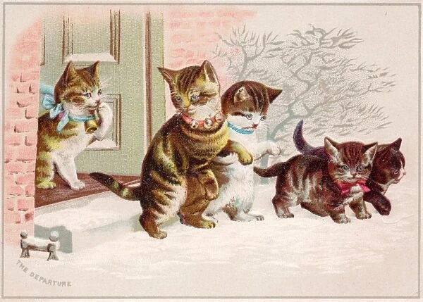 Five cats and kittens on a Christmas card
