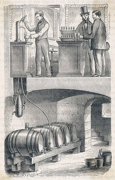 From Cellar to Bar