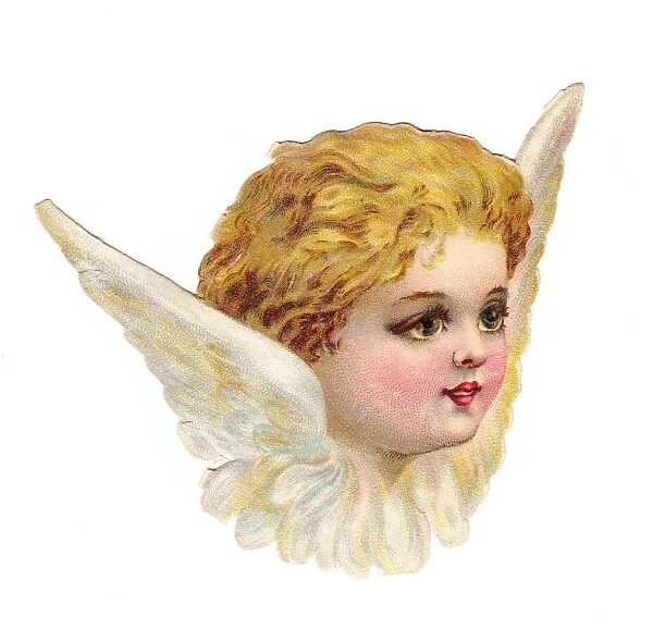Cherub head with wings on a Victorian scrap