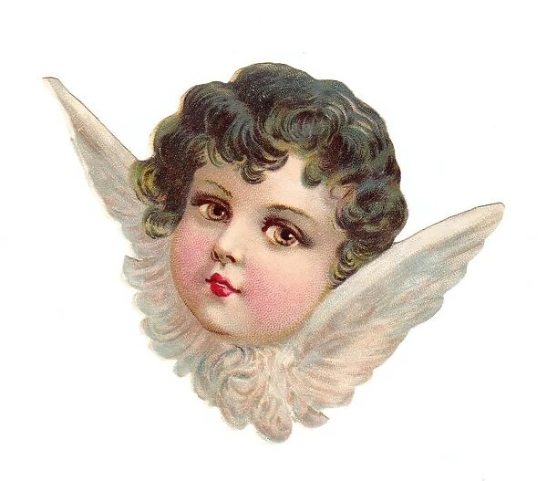 Cherub head with wings on a Victorian scrap