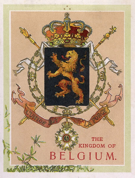 The Coat of Arms of The Kingdom of Belgium