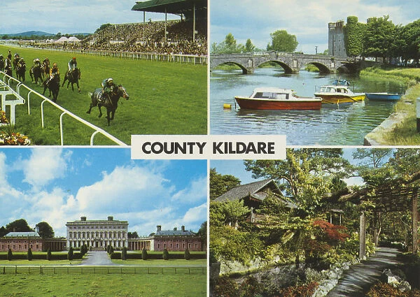 County Kildare, Multi -View (horse-racing)