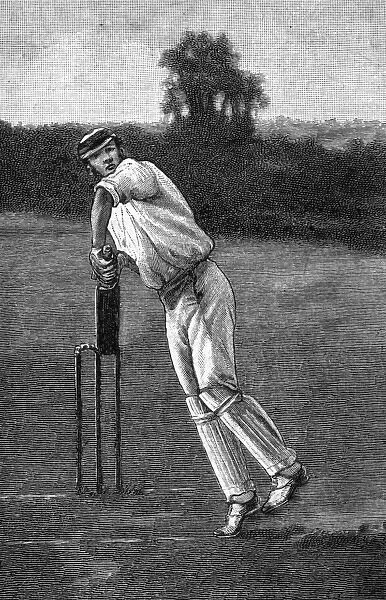 Cricket Back Play Shot