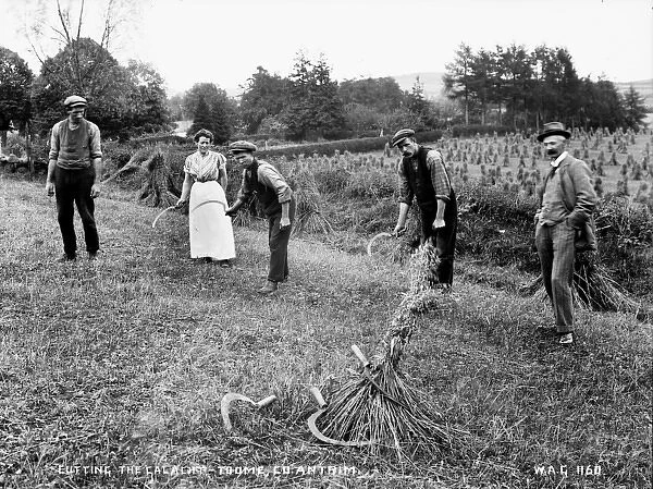 Cutting the Calacht, Toome, Co. Antrim