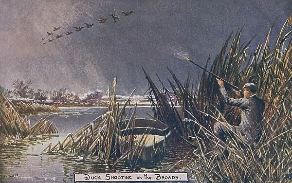 Duck Shooting on the Norfolk Broads