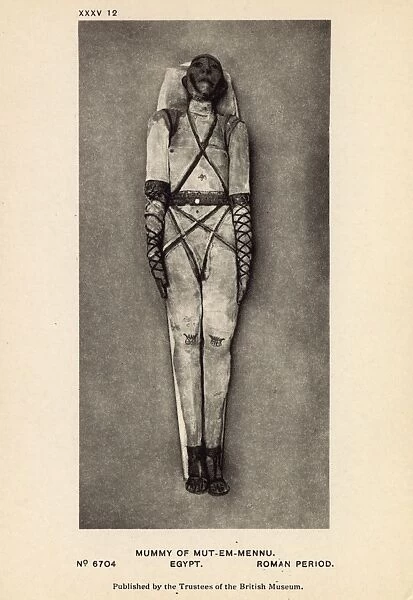 Egyptian Mummy in British Museum, London - Adult man