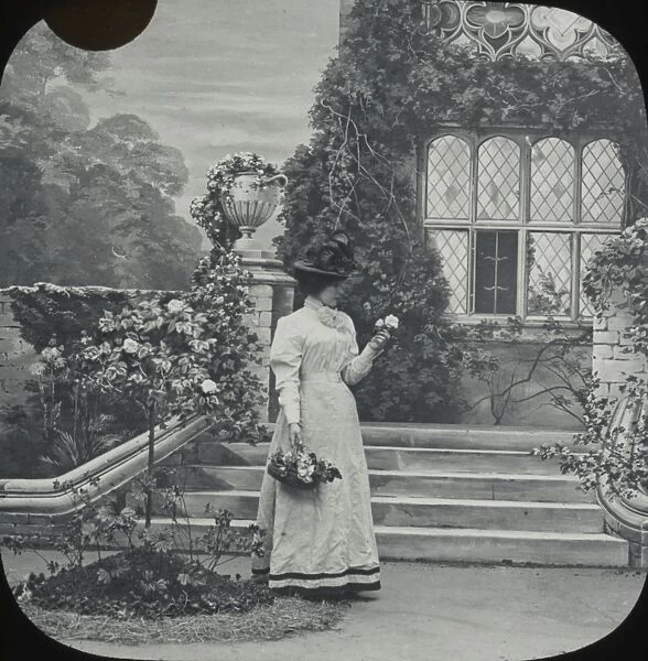 Elegant lady in a grand country garden picks roses