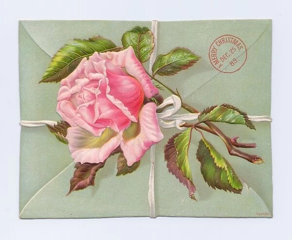 Envelope with pink rose on a Christmas card