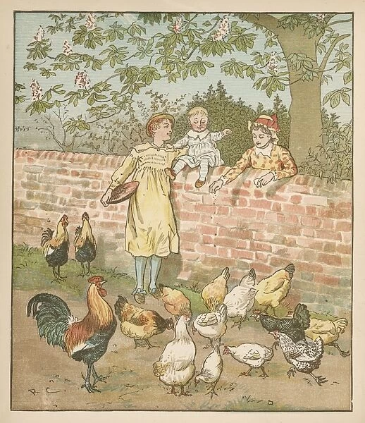 Farmers Boy and Hens