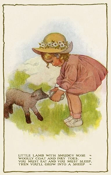 Feeding a lamb