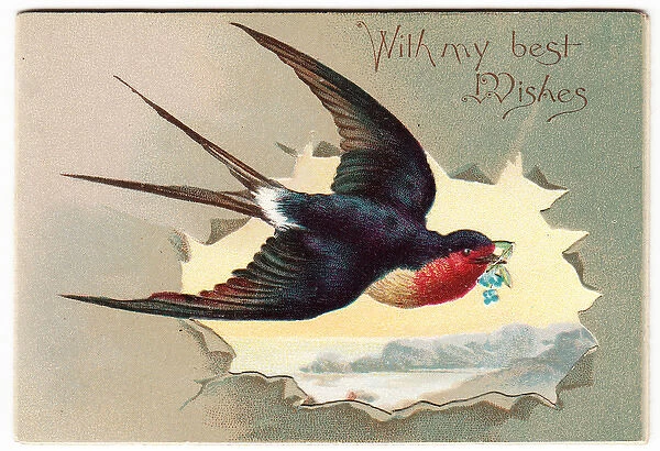 Flying swallow on a greetings card